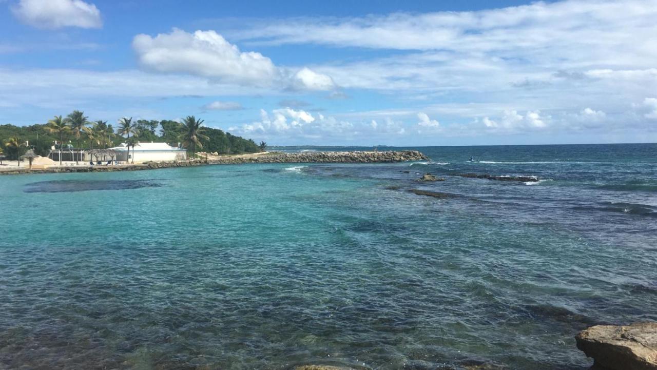Studio Vue Mer Piscine Plage Kaz Punch Manganao Chez Julie سانت فرانسوا المظهر الخارجي الصورة