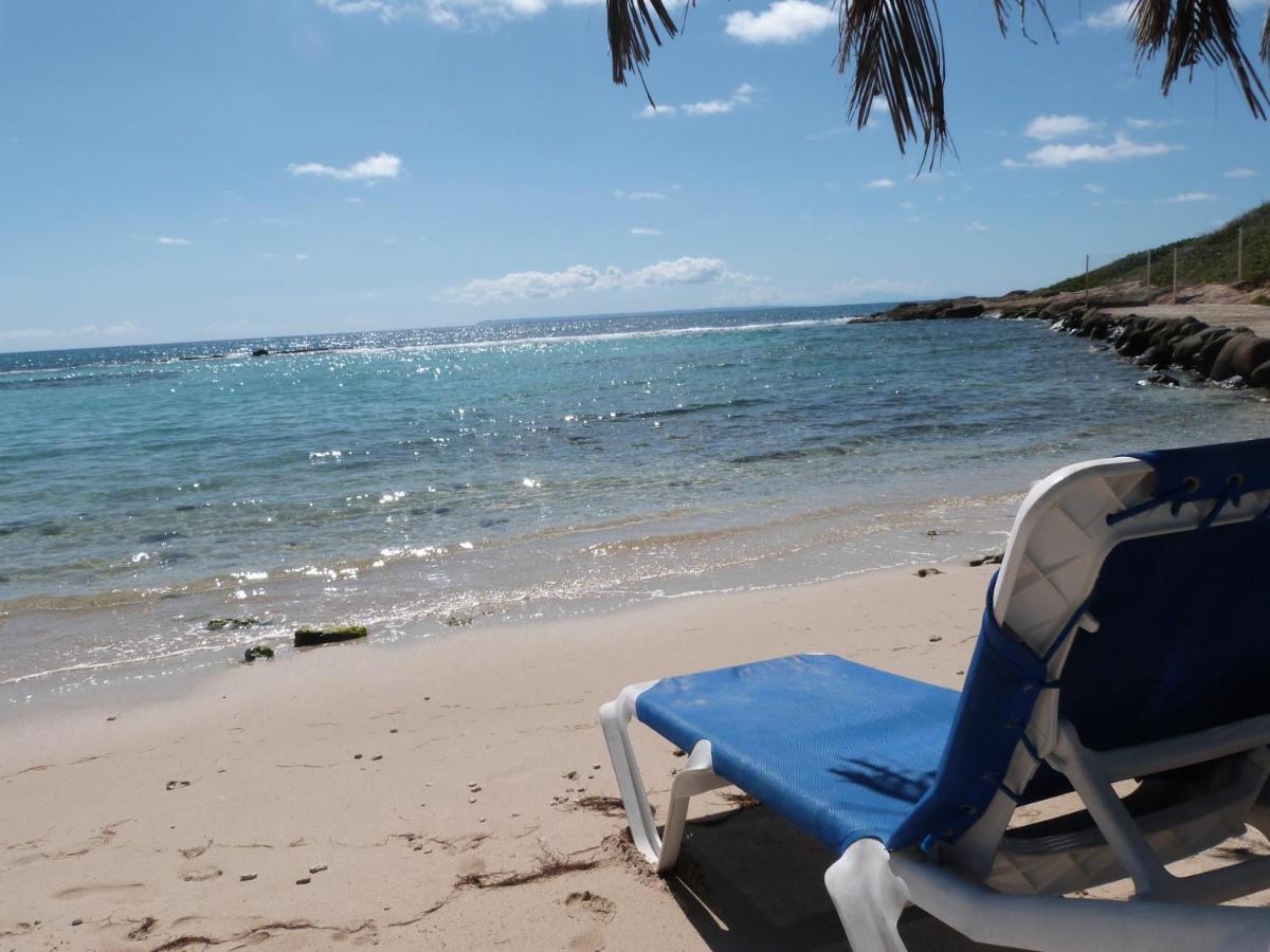 Studio Vue Mer Piscine Plage Kaz Punch Manganao Chez Julie سانت فرانسوا المظهر الخارجي الصورة