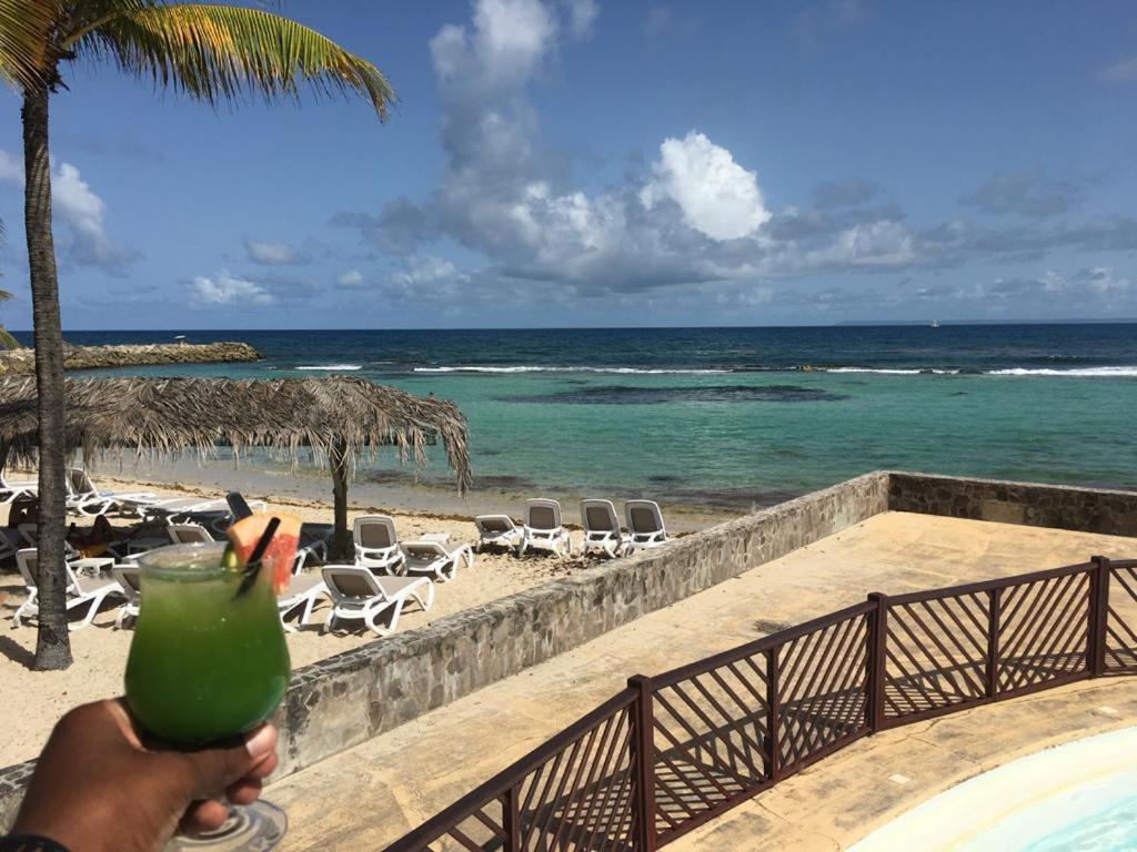 Studio Vue Mer Piscine Plage Kaz Punch Manganao Chez Julie سانت فرانسوا المظهر الخارجي الصورة