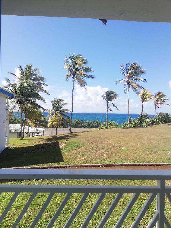 Studio Vue Mer Piscine Plage Kaz Punch Manganao Chez Julie سانت فرانسوا المظهر الخارجي الصورة