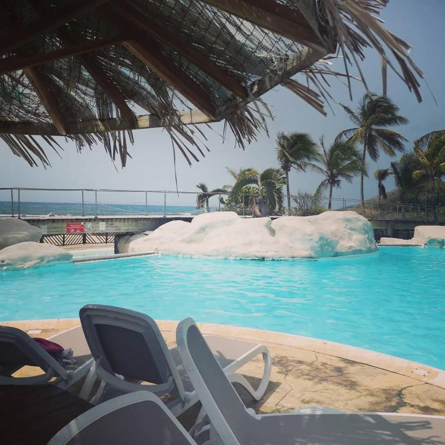 Studio Vue Mer Piscine Plage Kaz Punch Manganao Chez Julie سانت فرانسوا المظهر الخارجي الصورة