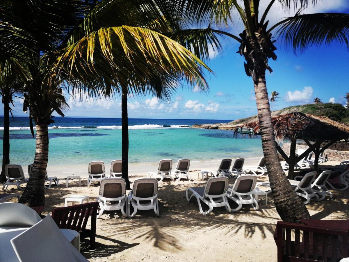Studio Vue Mer Piscine Plage Kaz Punch Manganao Chez Julie سانت فرانسوا المظهر الخارجي الصورة